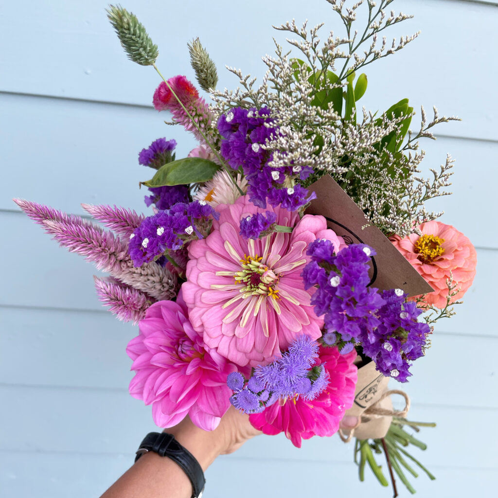 Special Occasion wrapped bouquet with summer flowers (dahlias, zinnias, celosia, statice)